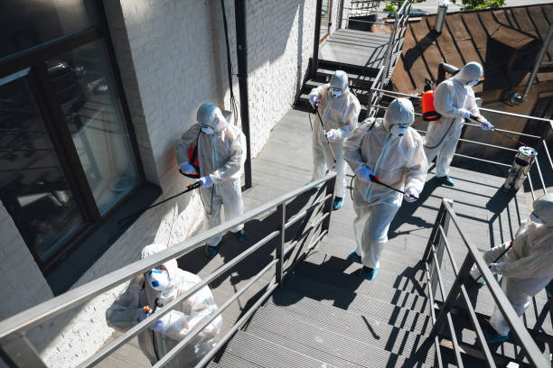 Best Mold Remediation for Rental Properties  in Valdez, AK