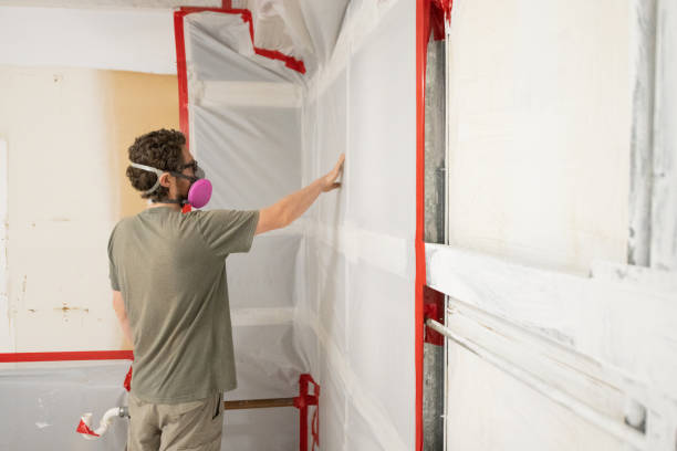 Best Environmental Consulting for Mold Prevention  in Valdez, AK