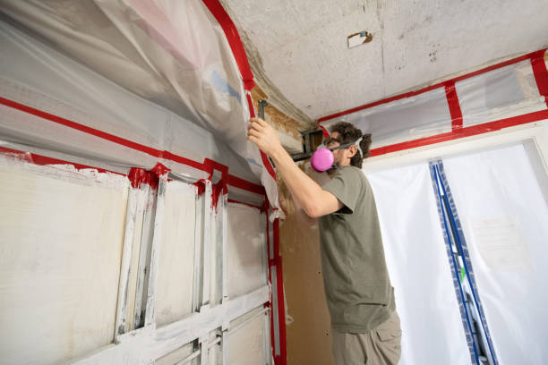 Best Dehumidification Services  in Valdez, AK