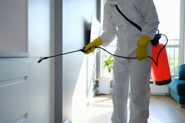 Best Air Quality Testing for Mold Spores  in Valdez, AK