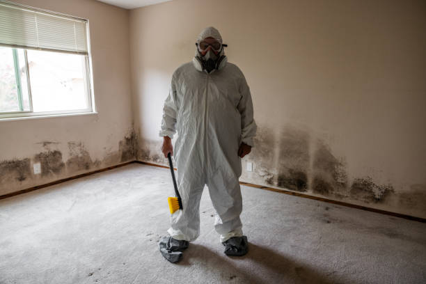 Best Mold Removal for HVAC Installations  in Valdez, AK